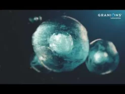 Age Control au Resvératrol