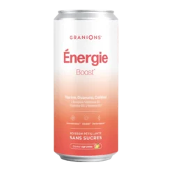 Canette Énergie Boost - Lot de 24