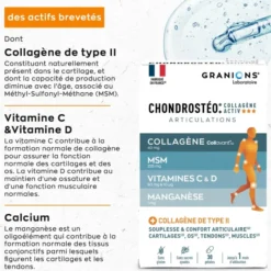 Chondrostéo+ Collagène Activ 30 gélules