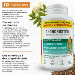 Chondrostéo+ 270 comprimés douleurs articulaires