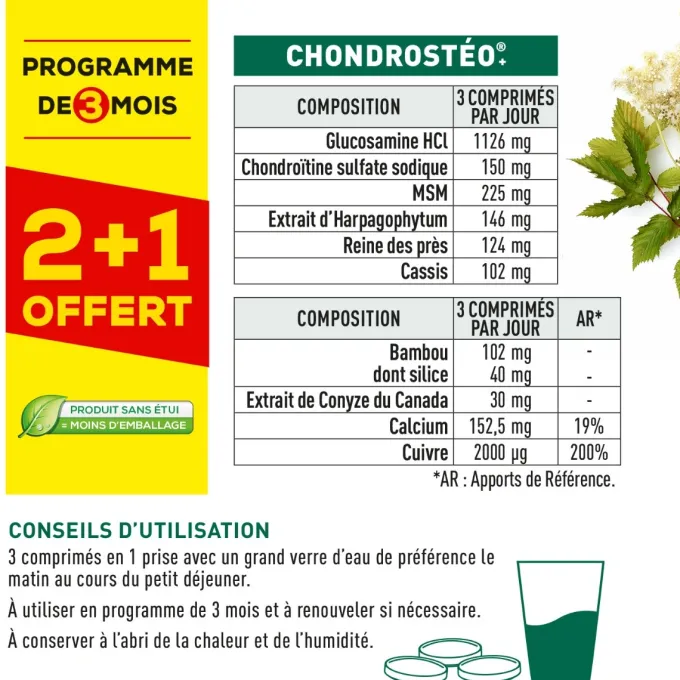 Chondrostéo+ 270 comprimés douleurs articulaires
