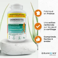 Chondrostéo+ 270 comprimés douleurs articulaires