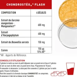 Chondrostéo+ Flash