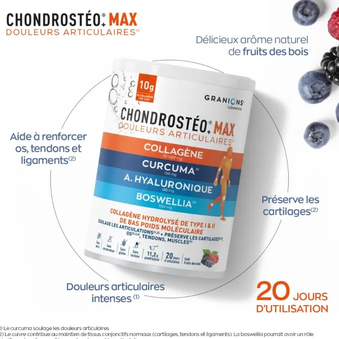 Chondrostéo MAX collagène Poudre