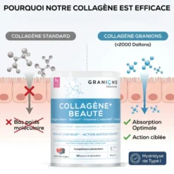 Collagène + beauté goût fruits rouges