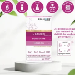 Complexe Microbiote Minceur LGasseri Berberine Morosil