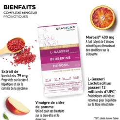 Complexe Microbiote Minceur LGasseri Berberine Morosil