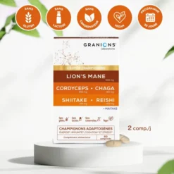 Complexe Super Champignons