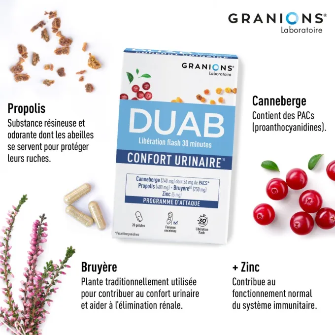 Duab - Inconfort Urinaire - Cranberry - Propolis - Zinc