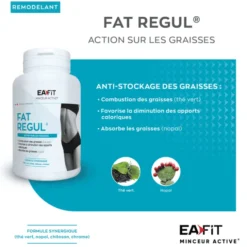 EAFIT Fat Regul 90 comprimés