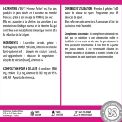 EAFIT L-CARNITINE Gélules