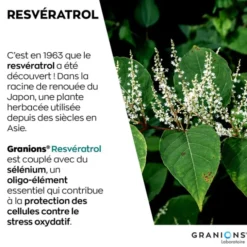 GRANIONS Resvératrol 30 comprimés