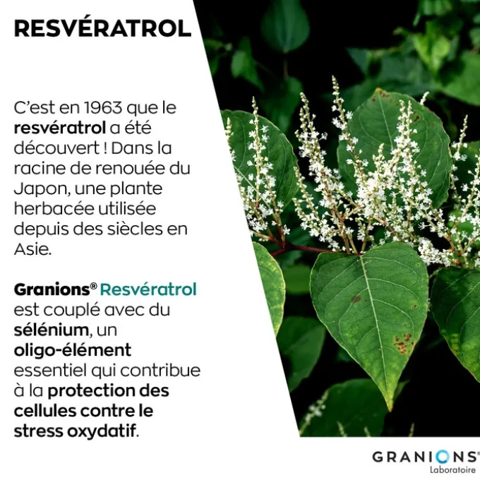 GRANIONS Resvératrol 30 comprimés