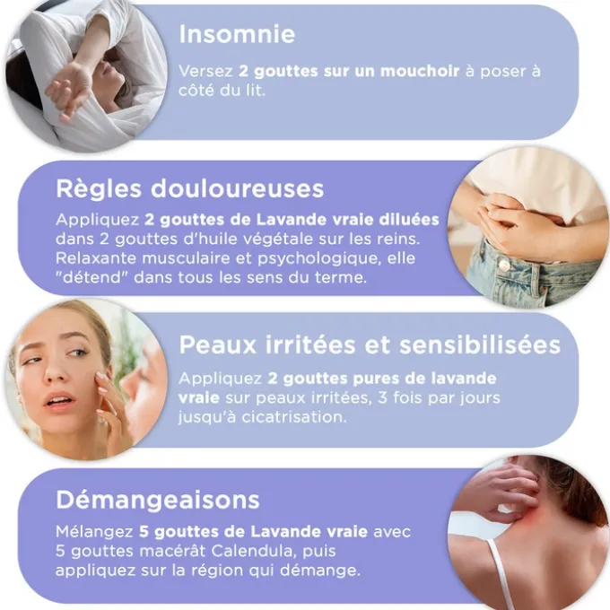 Huile essentielle Lavande Vraie Bio