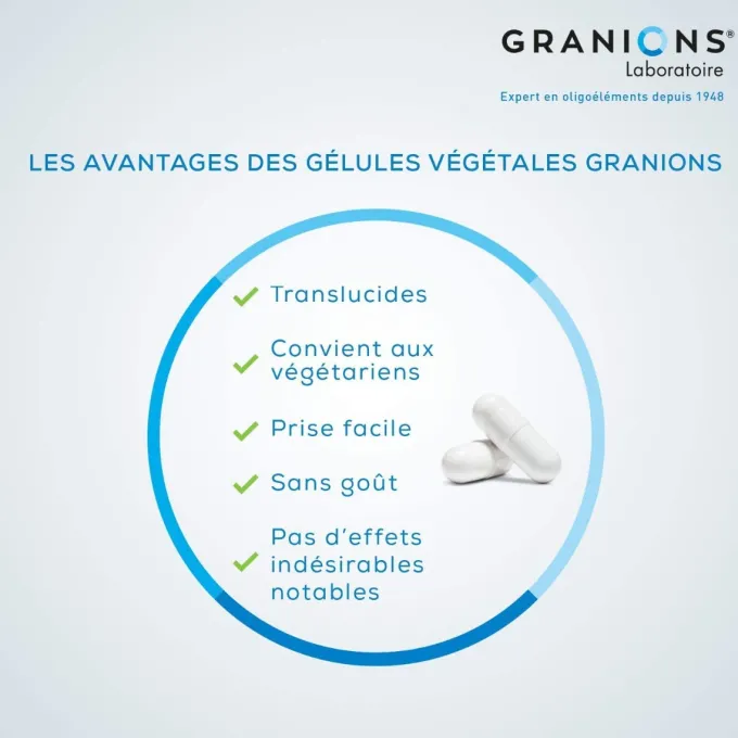 Lot de 2 – Zinc 60 gélules