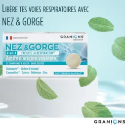 Nez & Gorge - 2 en 1 - 24 comprimés - Menthe glaciale