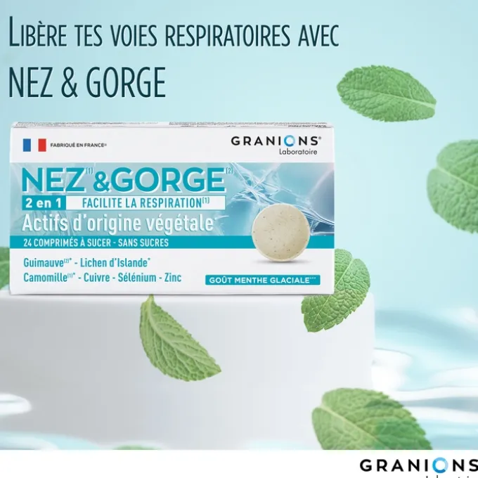 Nez & Gorge - 2 en 1 - 24 comprimés - Menthe glaciale