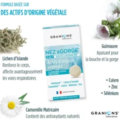 Nez & Gorge - 2 en 1 - 24 comprimés - Menthe glaciale