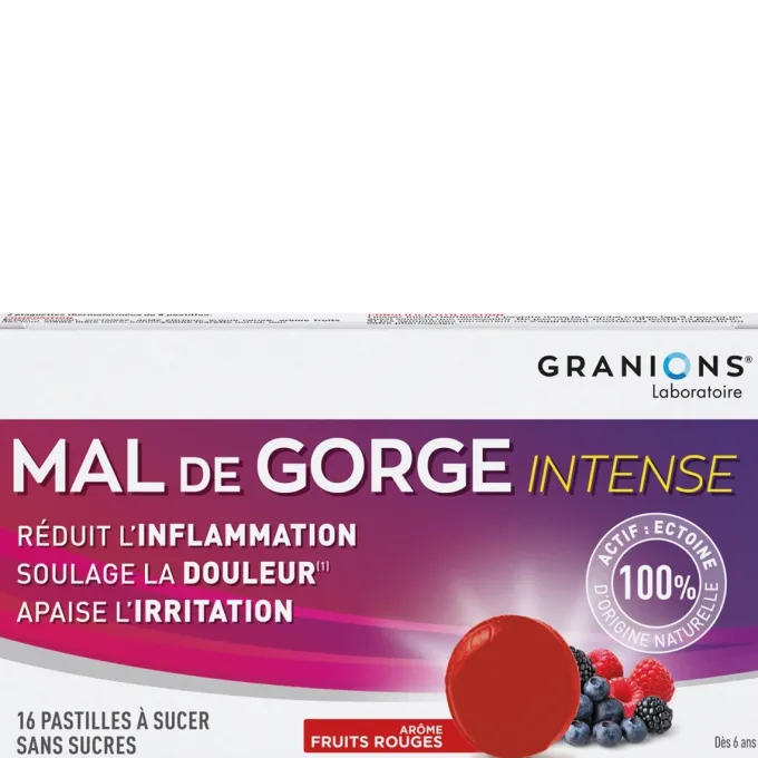 Pastilles Mal de Gorge Intense