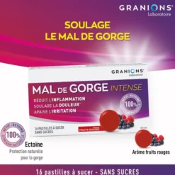 Pastilles Mal de Gorge Intense