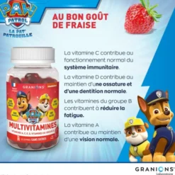 Pat Patrouille - Gummies Multivitamines - 60 Gummies - Fraise