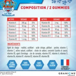 Pat Patrouille - Gummies Multivitamines - 60 Gummies - Fraise