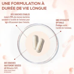 Probiotiques Immunité & Vitalité - 40 gélules