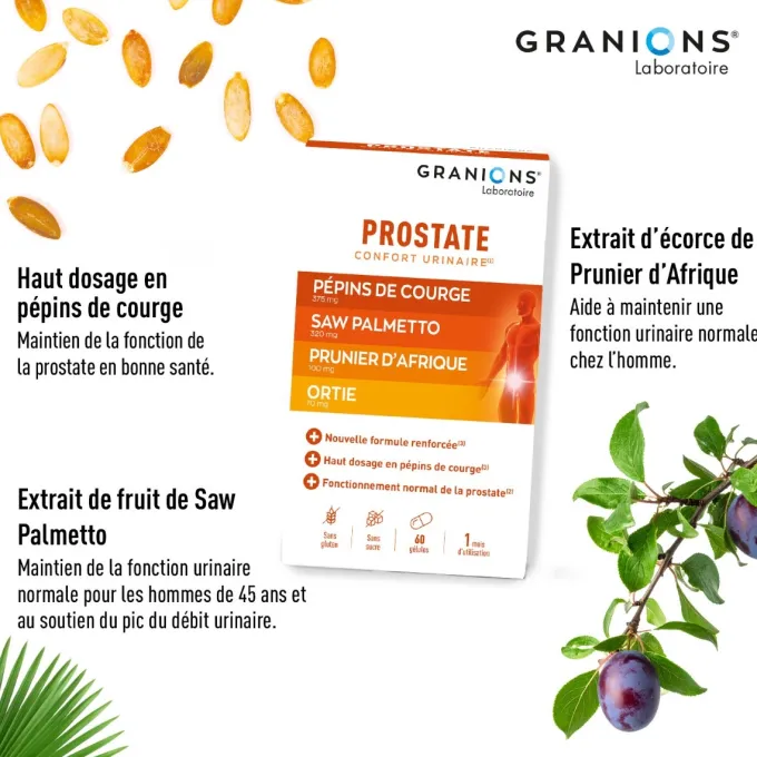 Prostate