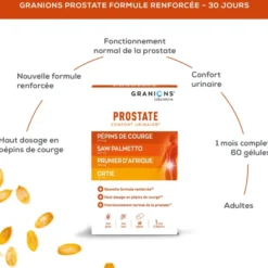 Prostate