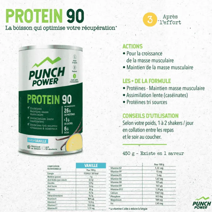 Punch Power Protein 90 - 450 g - Vanille