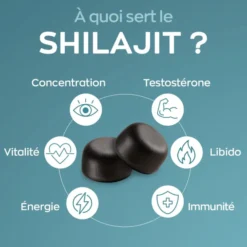Shilajit gummies - 800mg