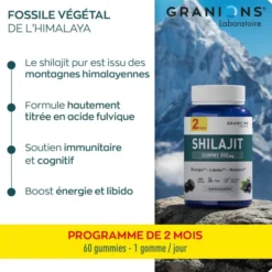 Shilajit gummies - 800mg
