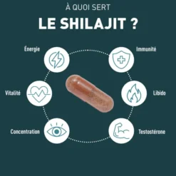 Shilajit 1000 mg 60 gélules