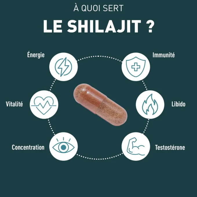 Shilajit 1000 mg 60 gélules
