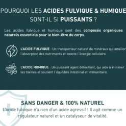 Shilajit 1000 mg 60 gélules