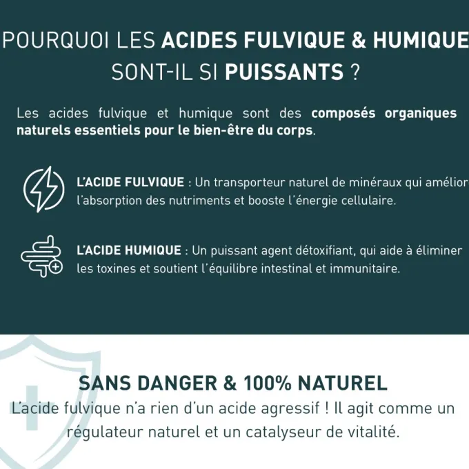 Shilajit 1000 mg 60 gélules