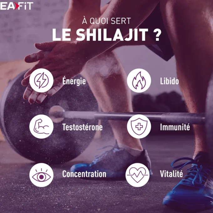 Shilajit pur en résine - 500mg