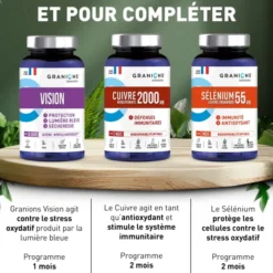 Vision