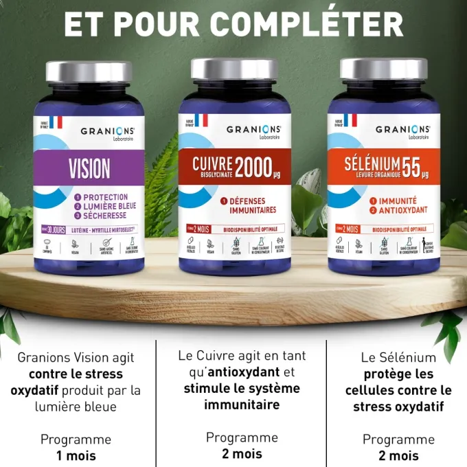 Vision