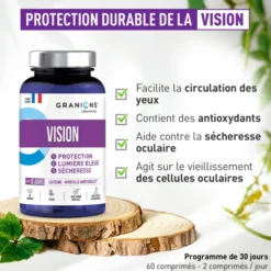 Vision