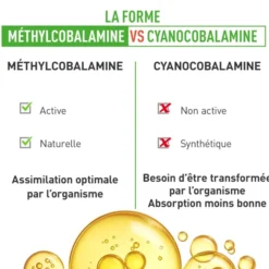 Vitamine B12 Format 6 mois