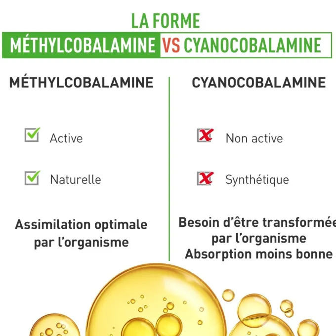 Vitamine B12 Format 6 mois