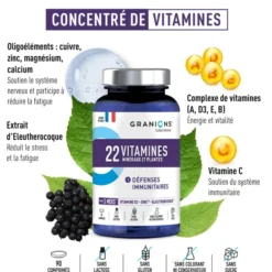 22 Vitamines Minéraux et Plantes 90 comprimés